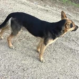 Meet your Posher, Brady